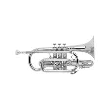 Bach Stradivarius Cornet Bb Outfit