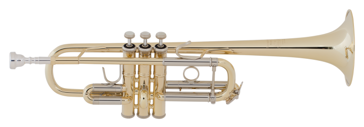 Large bore trumpet deals