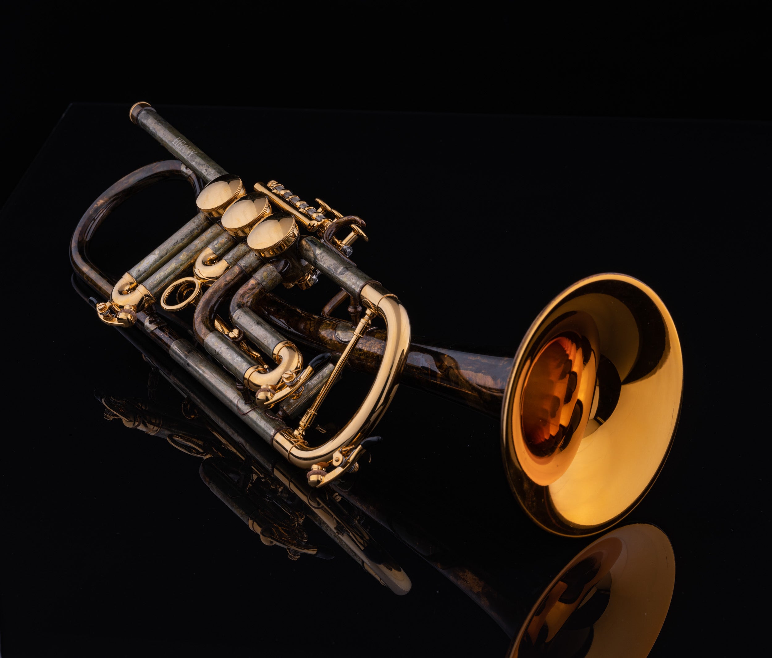 Schagerl Gansch Horn Heavy, vintage matt lacquer w gold slides and trim
