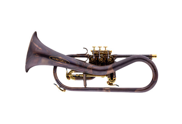 Schagerl Bb Ganschhorn light