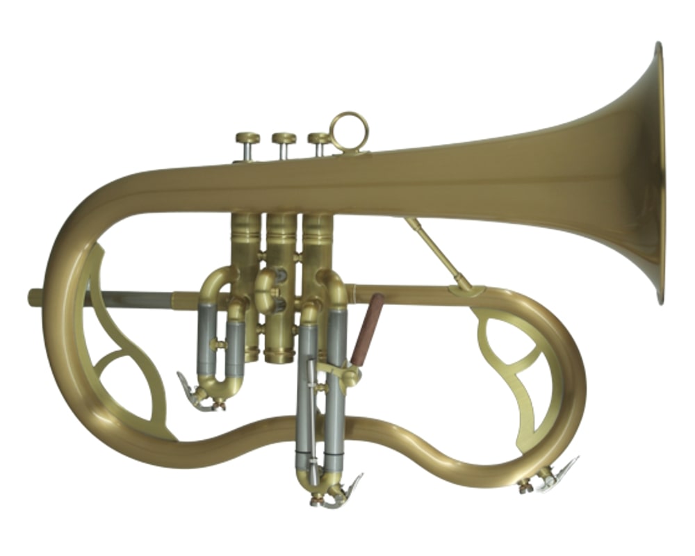 Carol Brass Legend Bb Flugelhorn outfit