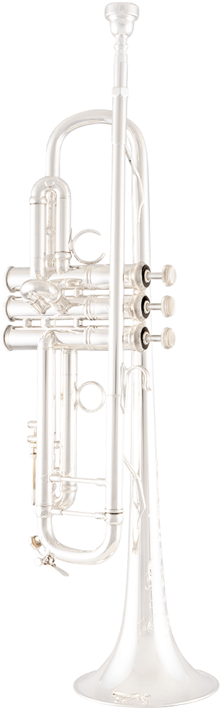 Bach Artisan Bb trumpet outfit AB190S SP
