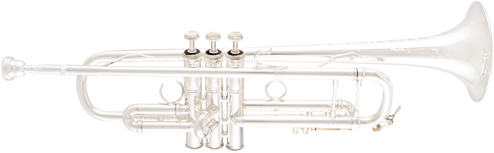 Bach Artisan Bb trumpet outfit AB190S SP