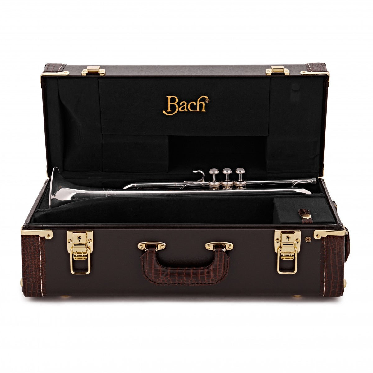 Bach Apollo Bb Trumpet outfit 170S43GYR