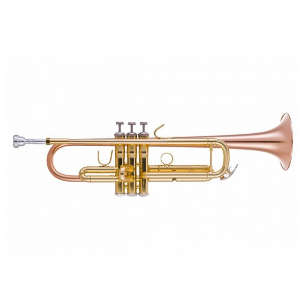 Bach TR355G Bb trumpet outfit