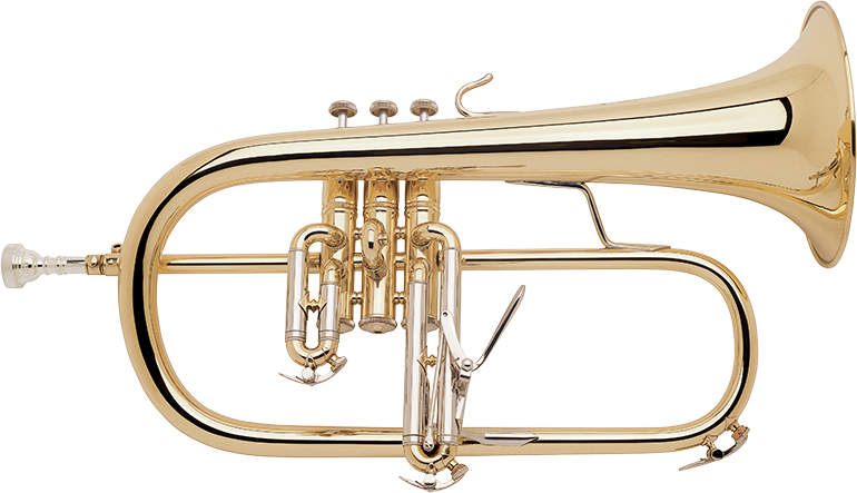 Bach Strad Flugelhorn Outfit