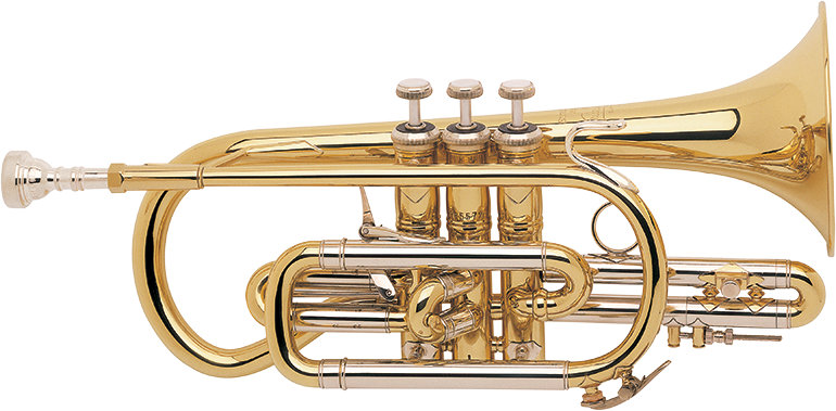 Bach Stradivarius Cornet Bb Outfit