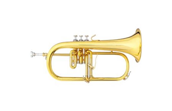 Challenger Flugel outfit