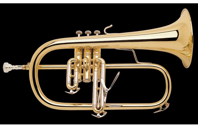 Bach Strad Flugelhorn Outfit