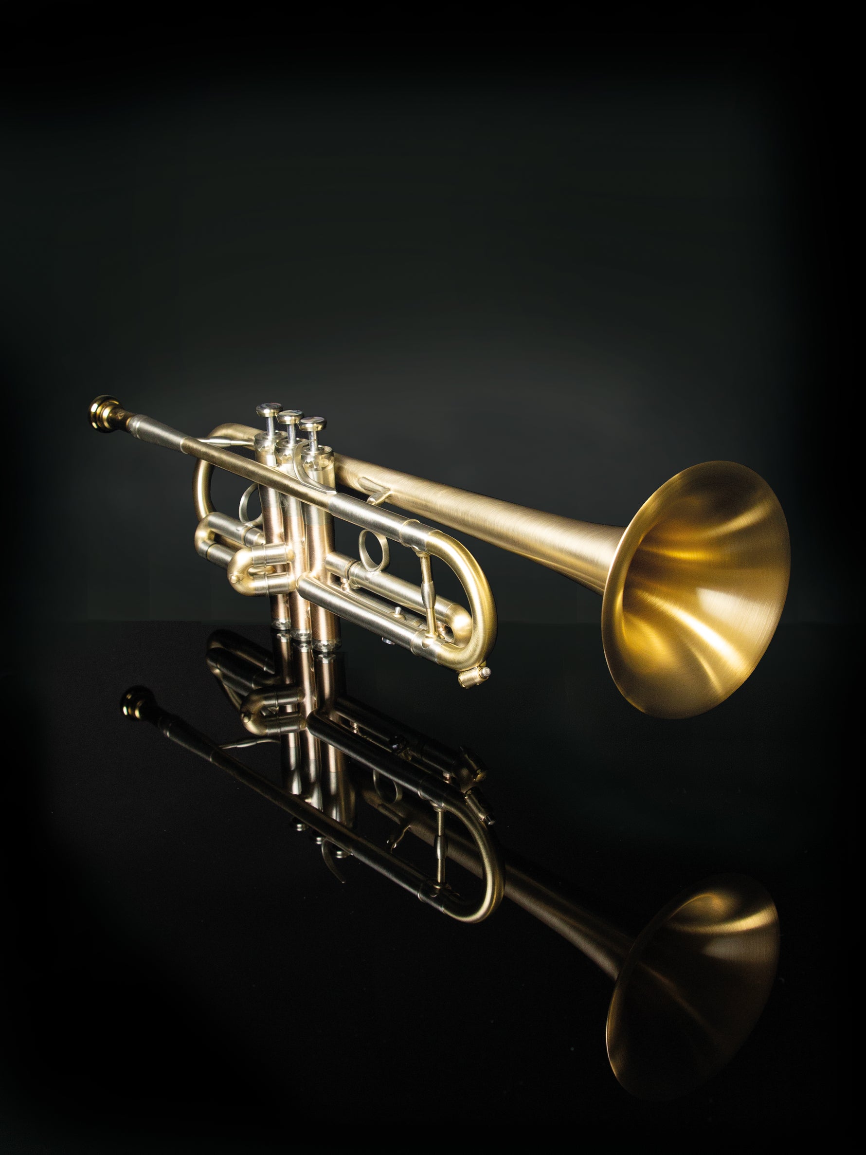 Fenix Bb trumpet outfit model B1