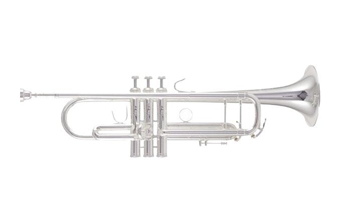 B&S Challenger Bb Trumpet Outfit -  with Gold Brass Bell in Silver Plate