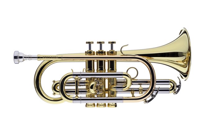 Schagerl 610L Bb cornet